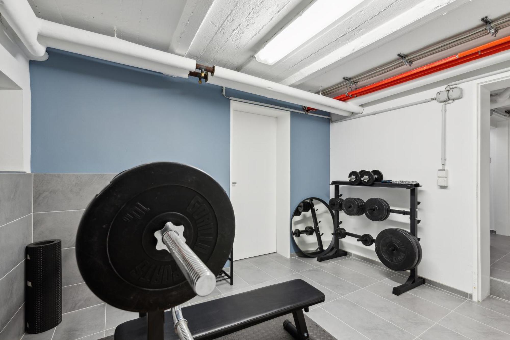Modern Living - Basf - Ma - Pfalz - 1 Gym 2 Working Spaces ลุดวิกส์ฮาเฟน อัม ไรน์ ภายนอก รูปภาพ